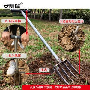 27113商品缩略图