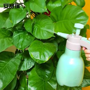 26915商品缩略图