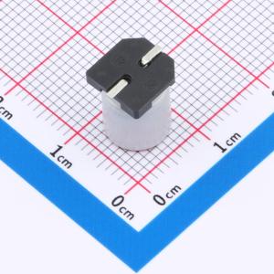 CT1H101M0810商品缩略图