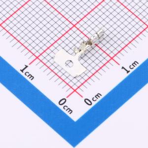 A2019T-10商品缩略图