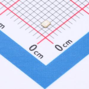 SCOYR32X00000LJPM商品缩略图