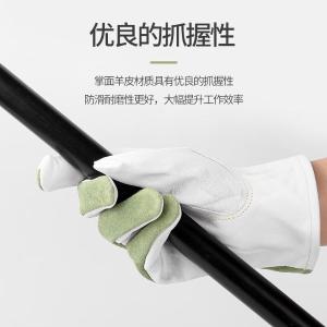 XGS-P2商品缩略图