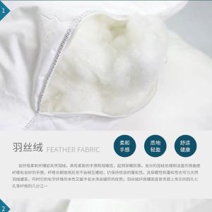 AW10221商品缩略图