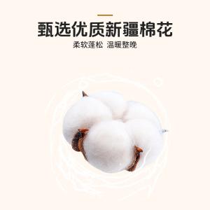 AW10713商品缩略图