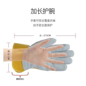 XGS-P1商品缩略图