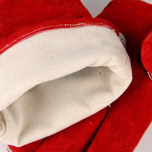 XGS-P4商品缩略图