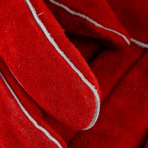 XGS-P4商品缩略图