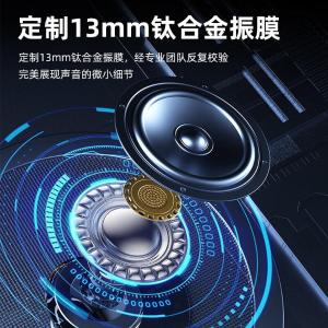 TWS-19商品缩略图