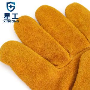 XGS-P6商品缩略图