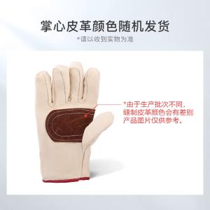 XG-FB2商品缩略图