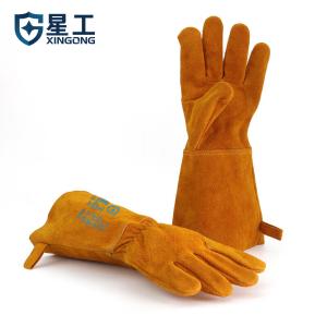 XGS-P6商品缩略图