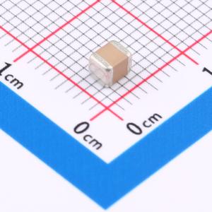 FS32X125K101EGG商品缩略图