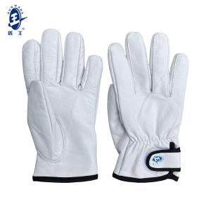 DW-2918商品缩略图