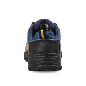 PAD-C1732BN-43商品缩略图