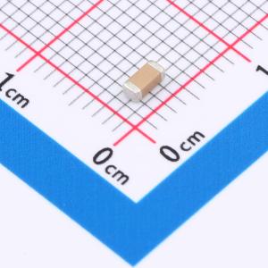 FV31X102K202ECG商品缩略图