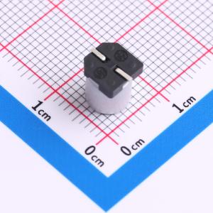 RVE25V100M6X8商品缩略图