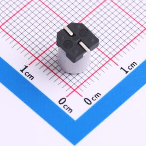 RV16V330M6X8商品缩略图