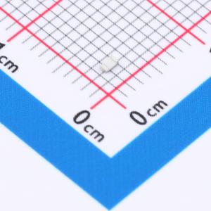 RTT0397R6FTP商品缩略图