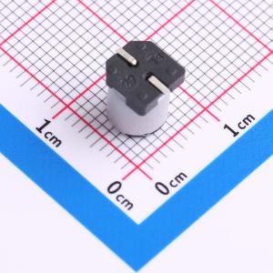 RV100V22M6X8商品缩略图