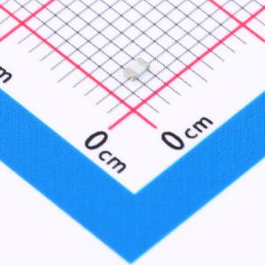 PAT0603E4002BST1商品缩略图