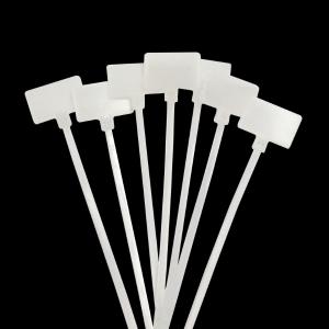 ACLTTGC249商品缩略图