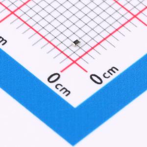 RCS040220K0FKED商品缩略图