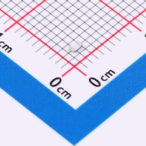 RCS06032K20FKEA商品缩略图