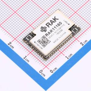 WisDuo Module for LoRaWAN RAK11160 /Without IPEX/900MHz for US915/AU915/KR920/AS923