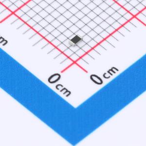 RCS06031K00JNEA商品缩略图