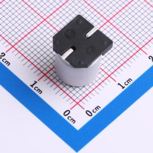 JVJ100V33M10X10商品缩略图