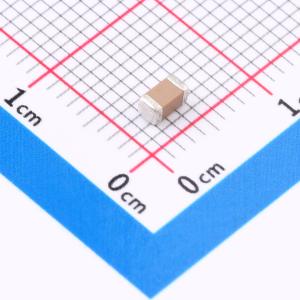 FP31X225K101EPG商品缩略图