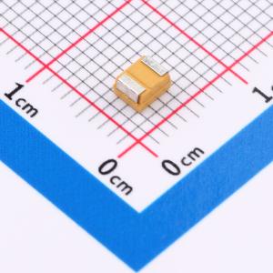 CA45-B010K107T商品缩略图