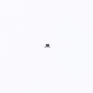 0402WGF3163TCE商品缩略图