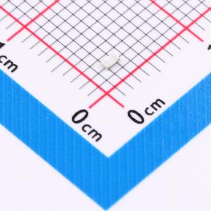 FRC0603J100 TS商品缩略图
