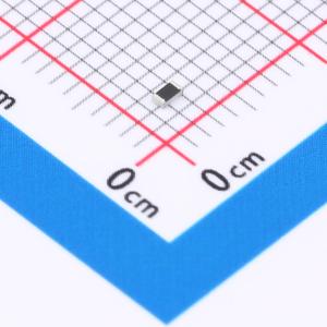 RCS06032K00FKEA商品缩略图