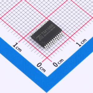 TM1668    SSOP-24