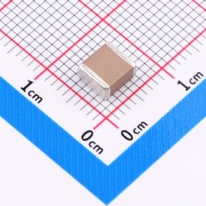 10uF ±10% 100V