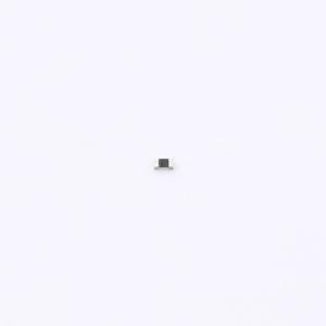 AC0402FR-0730R1L商品缩略图