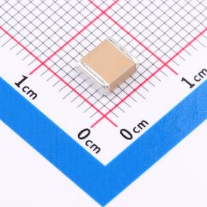 FV55X102K302EFG商品缩略图