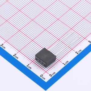 方形直插 慢断 250V 10A 保险丝