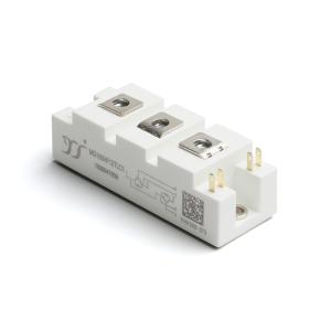 MG100HF12TLC1商品缩略图