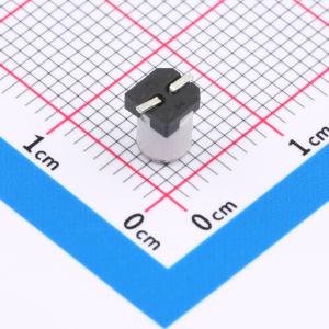 RVT1A220M0405商品缩略图