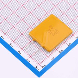 BK250-2000-SZ商品缩略图