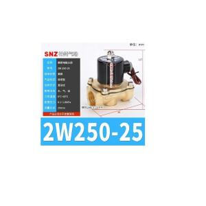 2W-250-25 AC220V商品缩略图