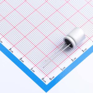 GA16V470M10X11商品缩略图