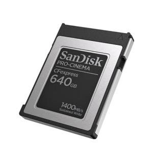 SDCFEC-640G-ZN4NN商品缩略图