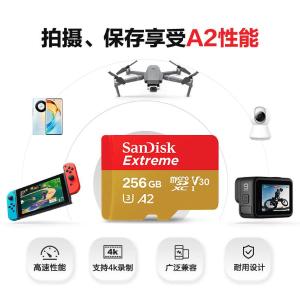 SDSQXA1-256G-ZN6MA商品缩略图