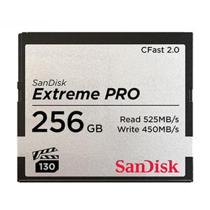 SDCFSP-256G-Z46D商品缩略图