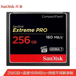 SDCFXPS-256G-Z46商品缩略图