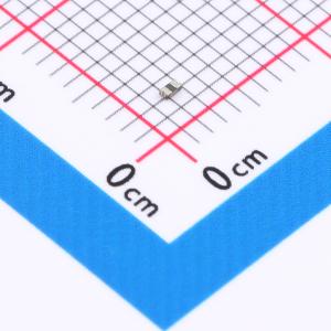 SMD0402R010SF
